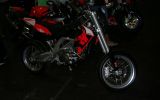 AUTO MOTO SHOW 66/166